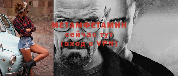 шишки Верхний Тагил