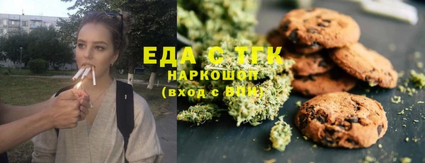 шишки Верхний Тагил