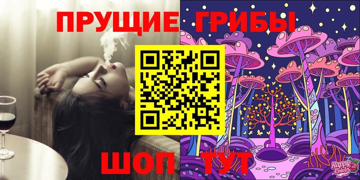 Псилоцибиновые грибы Psilocybine cubensis Бузулук